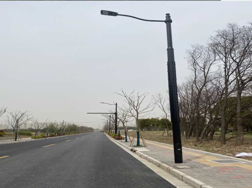 龙游县上海综合杆 太阳能路灯工程